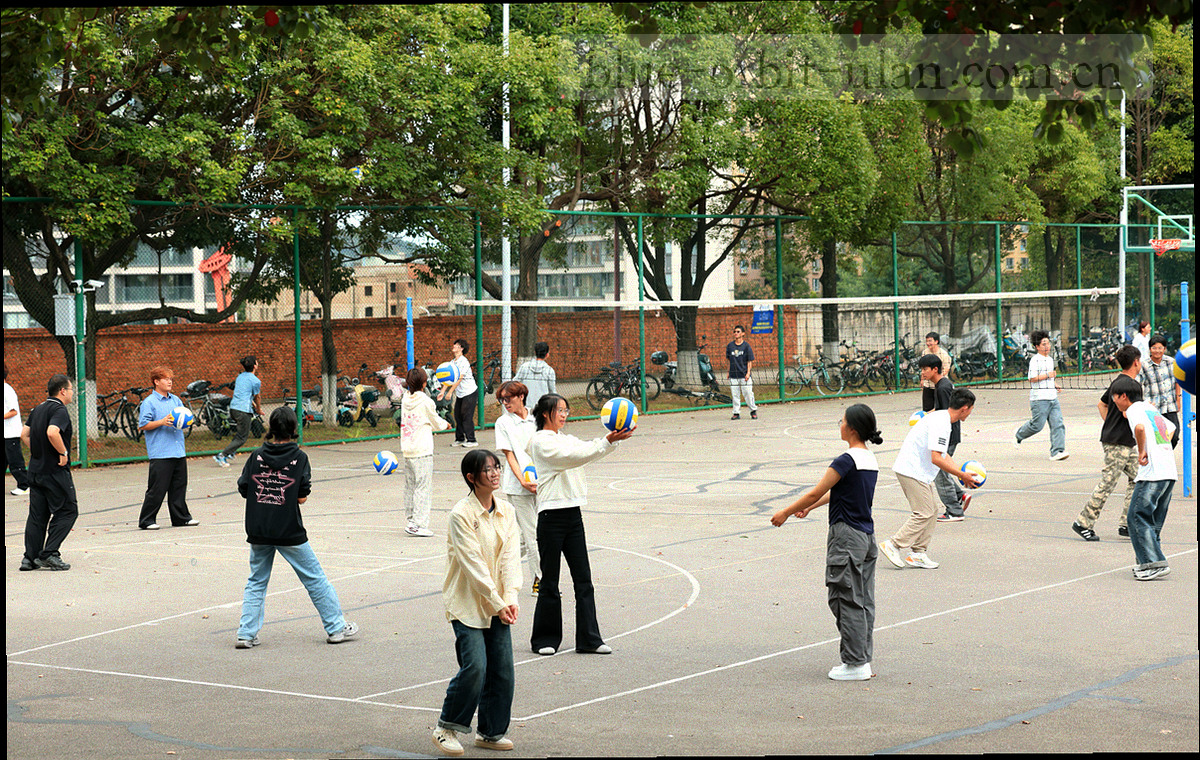 技能树式路径图，从标准版节点分出专业版升级节点与帮助文档旧版资料节点